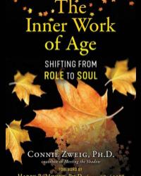 Connie Zweig Ph.D.