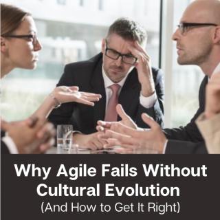 When Everyone Wins with Judy Ryan: Shifting Power-Over & Under to Power Within & Between: Why Agile Fails Without Cultural Evolution (And How to Get It Right), with guests Sannette Coetzee & Don White